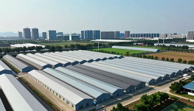 需求反馈在技术咨询中的常见问题与应对策略